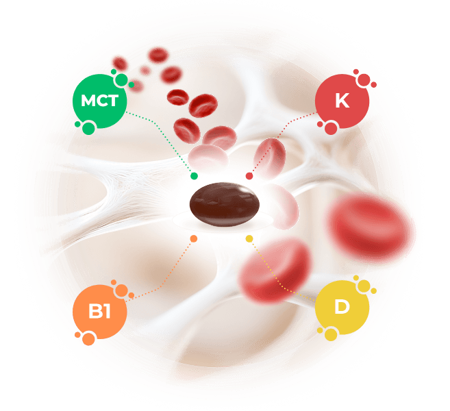 Vitamíny K1, K2, B1, D
