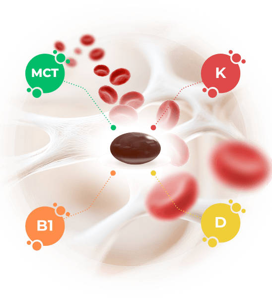 Vitamíny K1, K2, B1, D